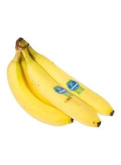 Chiquita Banana, Ecuador