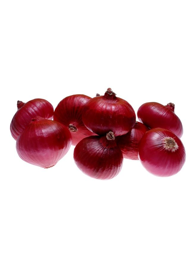 Indian Red Onion