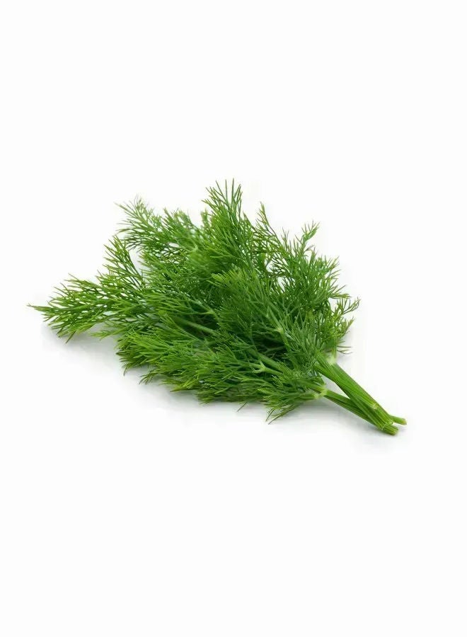 Spinneys Food Fresh Dill Bunch, Kenya