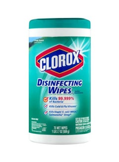 Clorox Disinfecting Wipes, Fresh, 75 Pcs