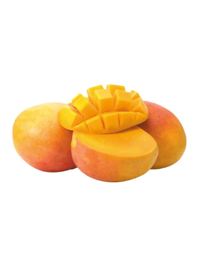 Waitrose R2E2 Mango, Egypt