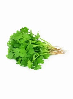 Spinneys Food Fresh Coriander Bunch, Kenya