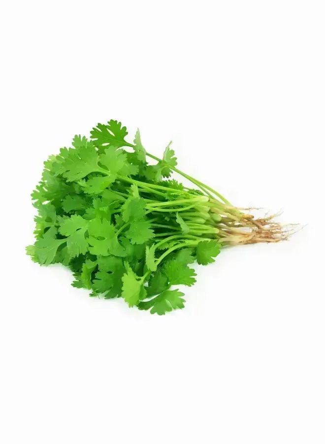 Spinneys Food Fresh Coriander Bunch, Kenya