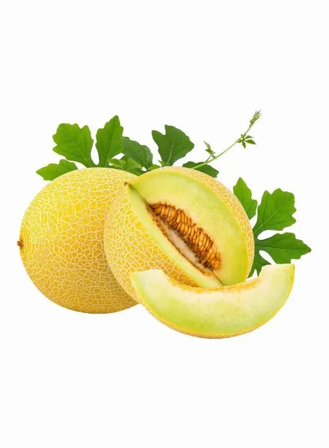 Sweet Melon, Iran