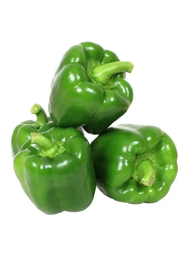 Green Capsicum, Holland