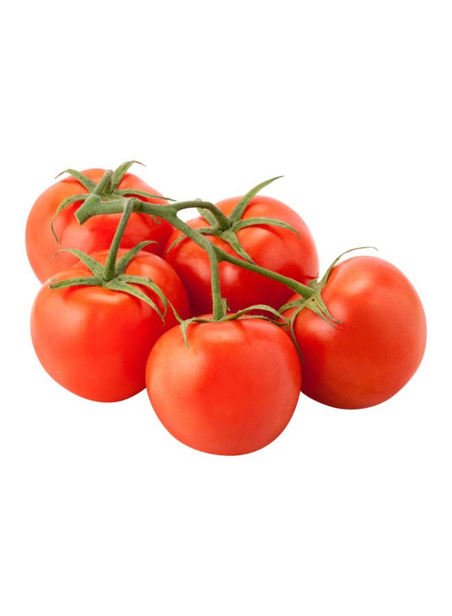 Cherry Plum Tomatoes On Vine
