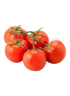 Cherry Plum Tomatoes On Vine