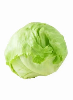 Iceberg Lettuce, Spain, 1 Pc