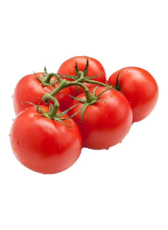 Red Tomato Bunch, UAE