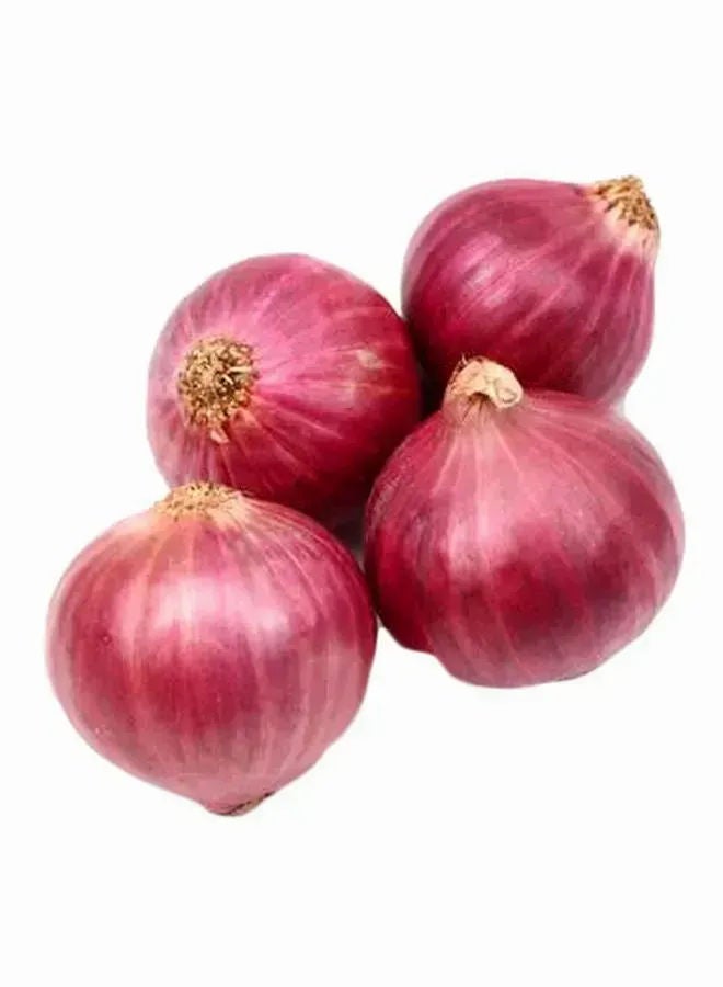 Red Onion, India
