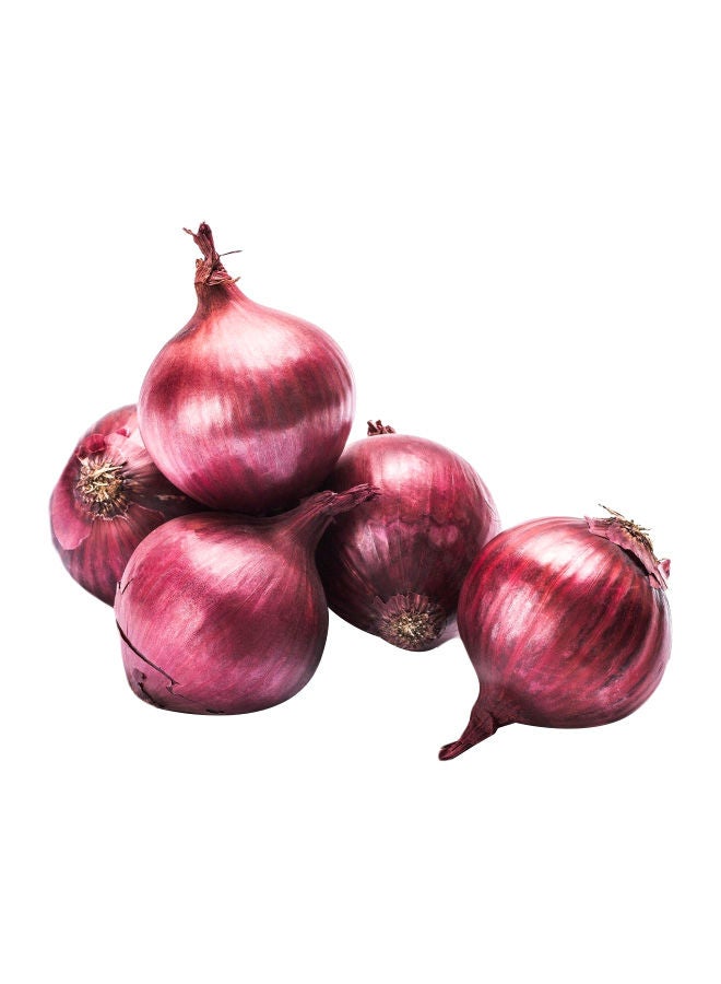 Organic Red Onions, UK