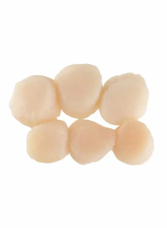King Scallop Meat, Usa
