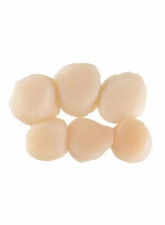 King Scallop Meat, Usa