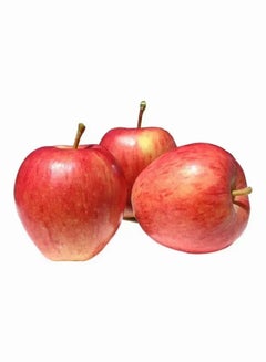 Royal Gala Apple, New Zealand
