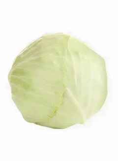White Cabbage, Holland