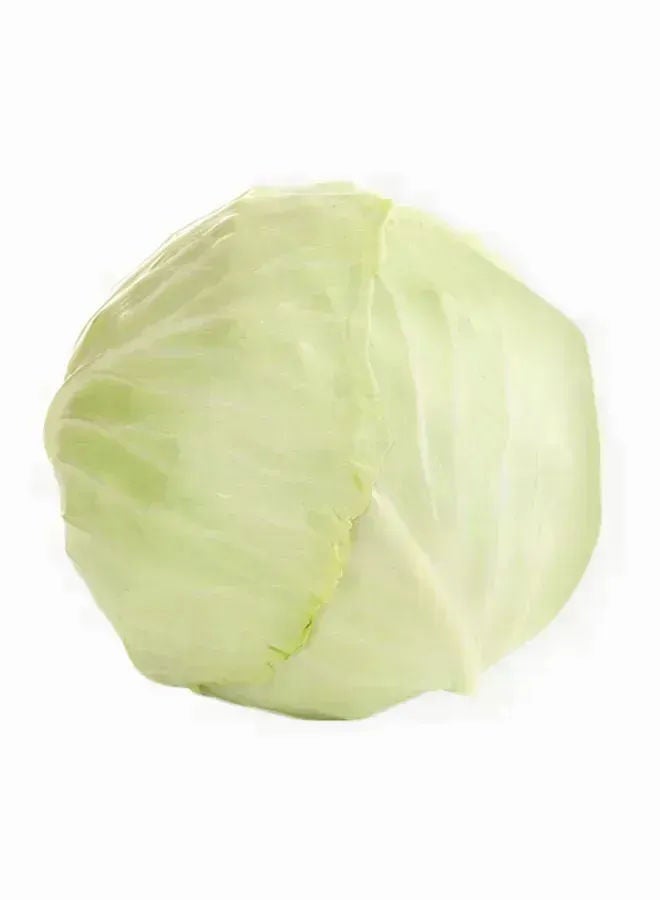 White Cabbage, Holland