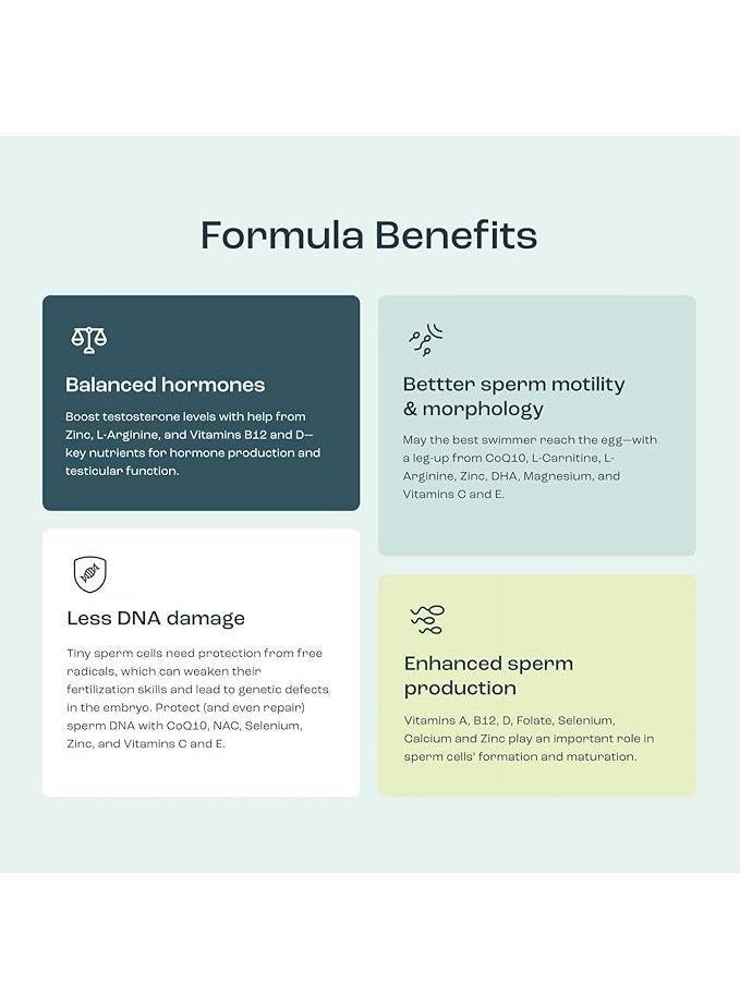 l-carnitine werking How can L-Carnitine help in your Journey of Wellness? – Osoaa