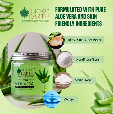 floare aloe vera Medicinal Aloe Vera -Orange Flowering  Native Gardeners