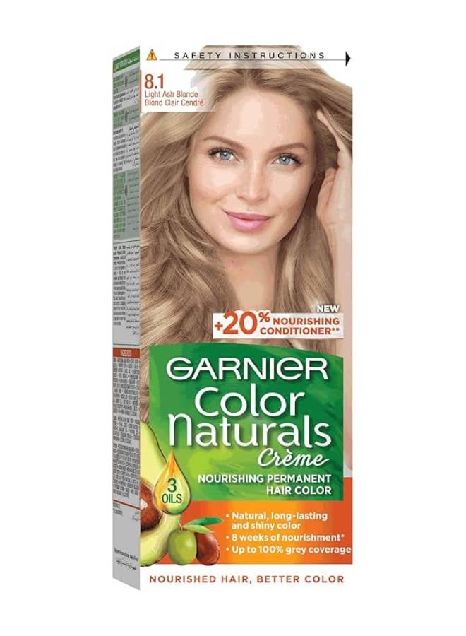 غارنييه كولور ناتشورالز 8.1 صبغة لون الشعر أشقر رمادي فاتح 112ملليلتر