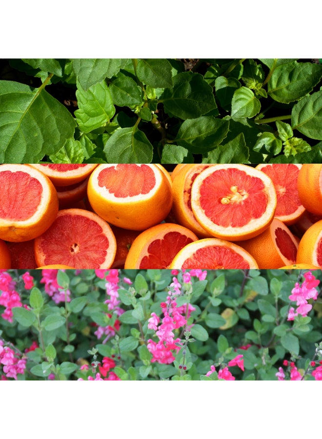 CALVIN KLEIN Escape Eau De Toilette 100ml - Image 4