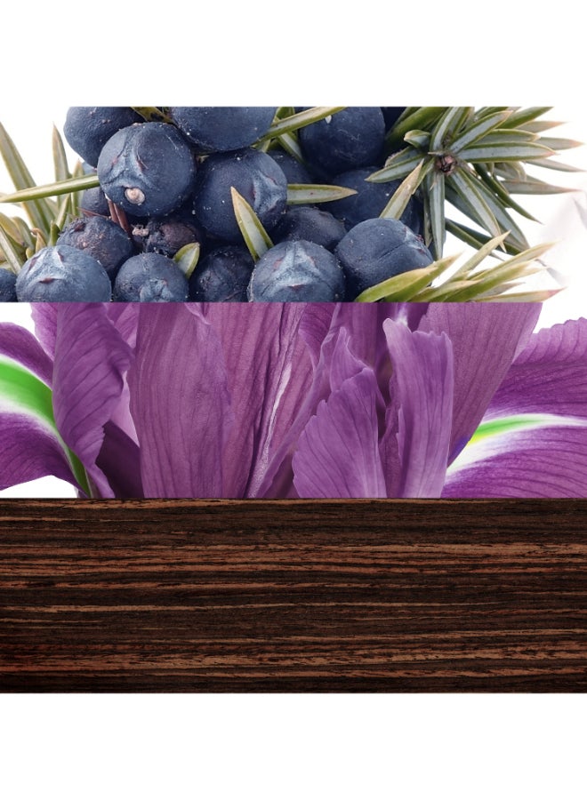 Davidoff The Game Eau De Toilette 100ml - Image 4