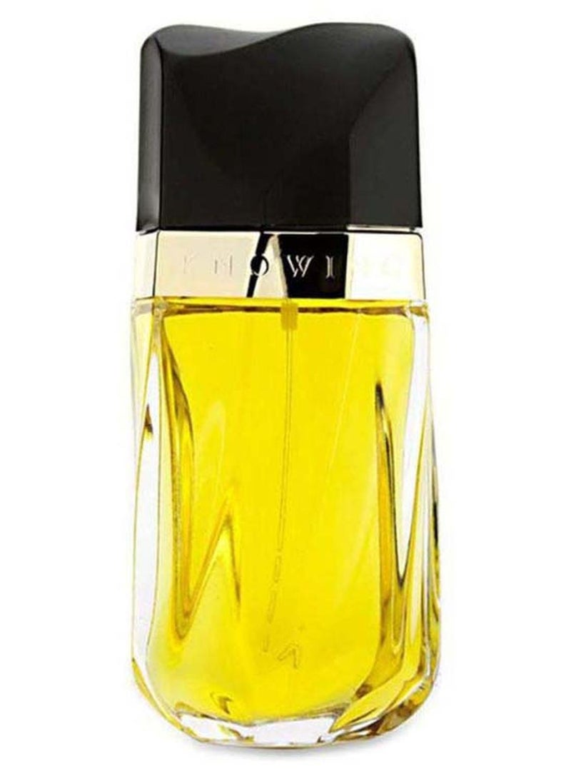 استي لودر ماء عطر نوينغ 75ملليلتر - Image 1