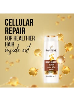 Pantene Pro-V Milky Damage Repair Shampoo Heals Damage And Fights Split Ends 600ml  - Image 2