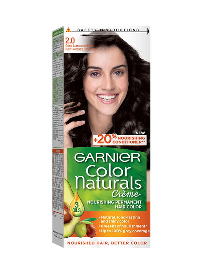 Garnier Permanent Hair Color 2.0 Luminous Black 112ml 