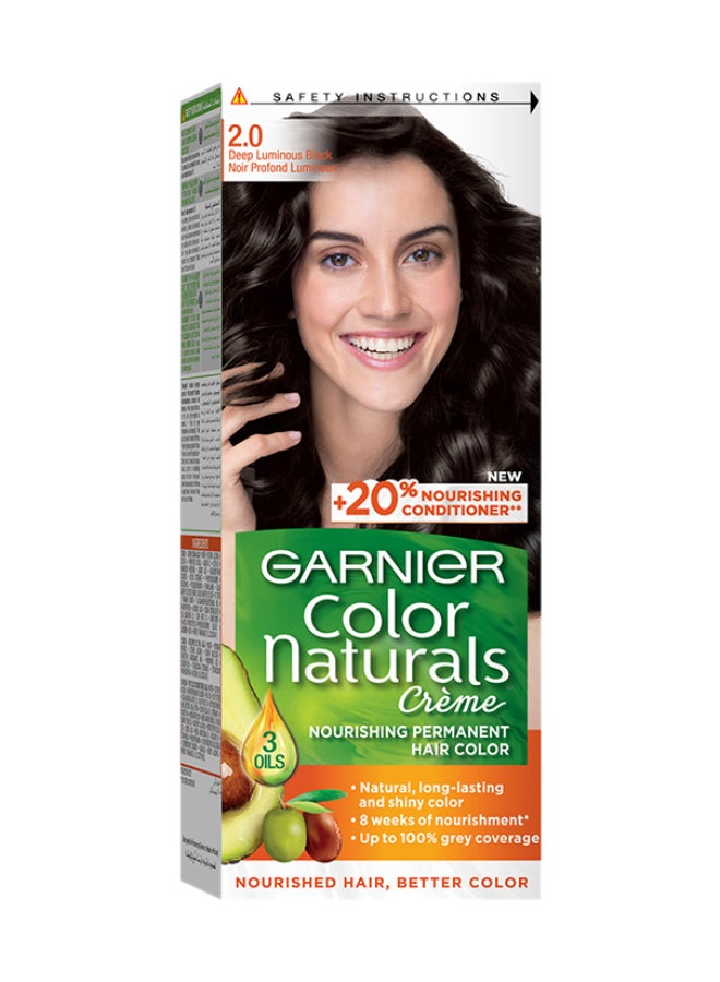 Garnier Permanent Hair Color 2.0 Luminous Black 112ml 