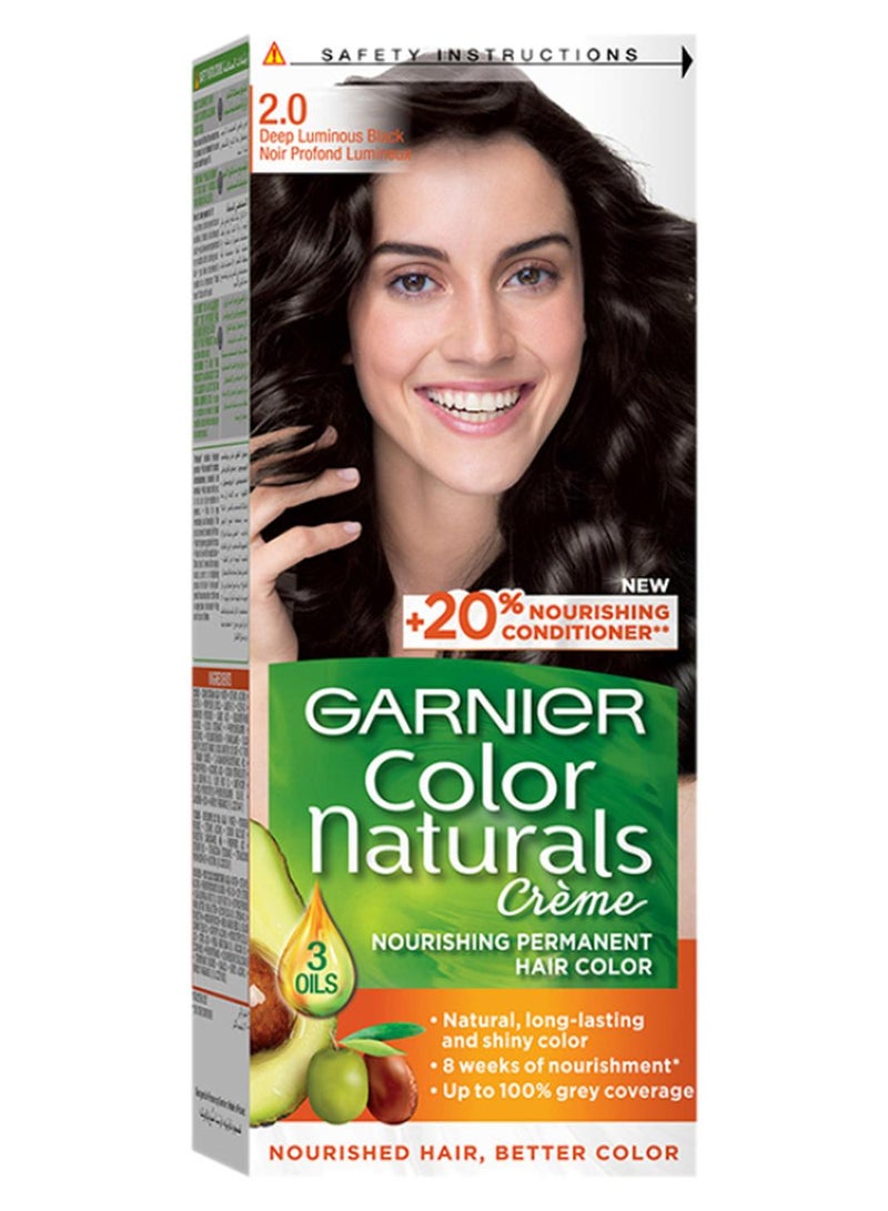 غارنييه صبغة شعر دائمة 2.0 أسود لامع 112ملليلتر - Image 1