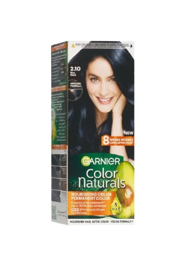 Garnier Color Naturals Permanent Hair Color 2.1 Blue Black  - Image 1
