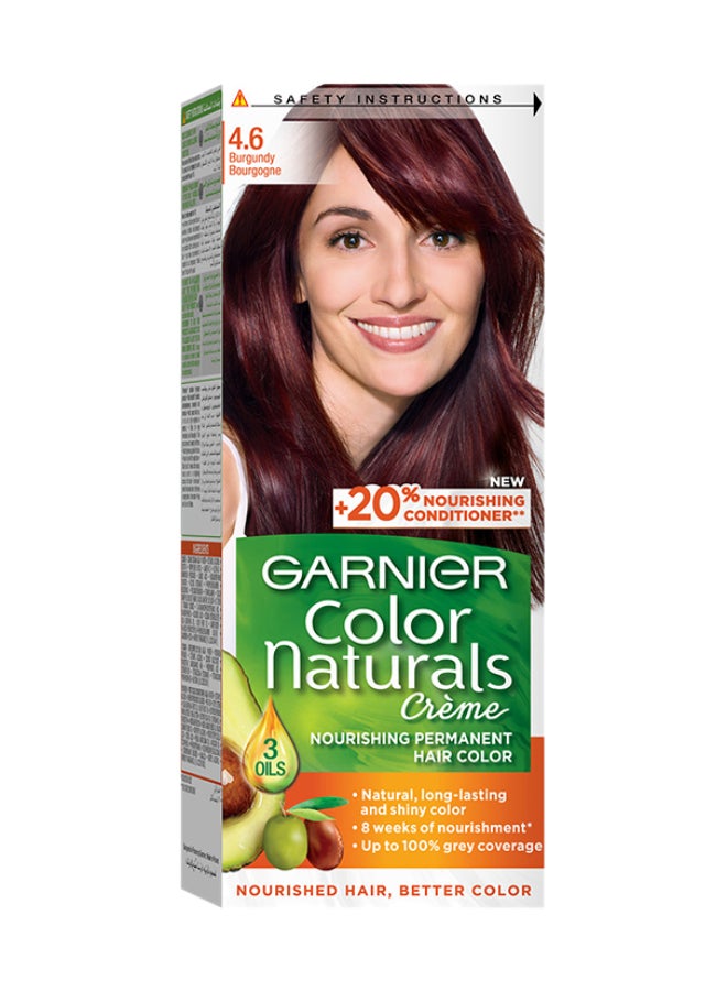 Garnier - Color Naturals Permament Hair Color Cream 4.6 Burgundy - Image 1