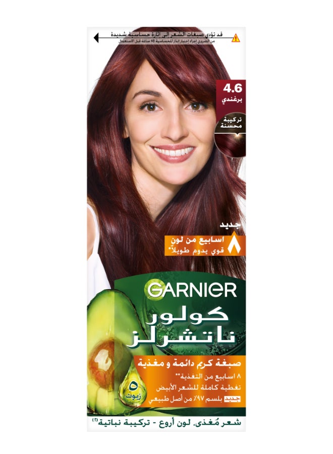 غارنييه صبغة شعر كلور ناتشورالز 4.7 4.6 برغاندي  - Image 1