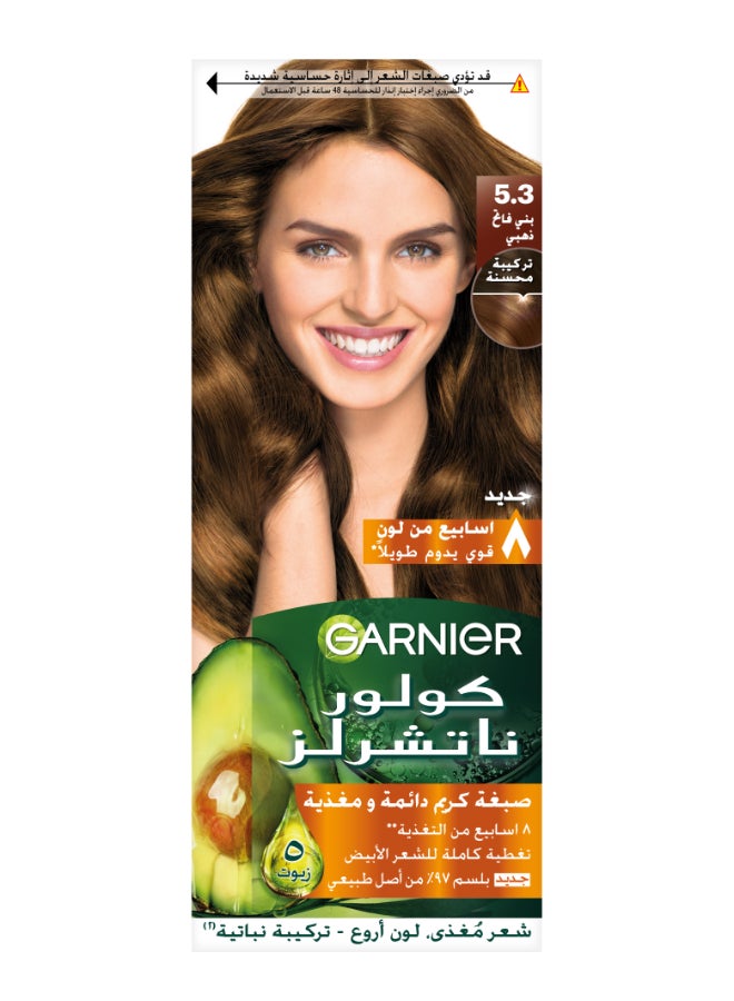 غارنييه كريم صبغة كولور ناتشرلز دائمة للشعر 5.3 بني ذهبي فاتح  - Image 1
