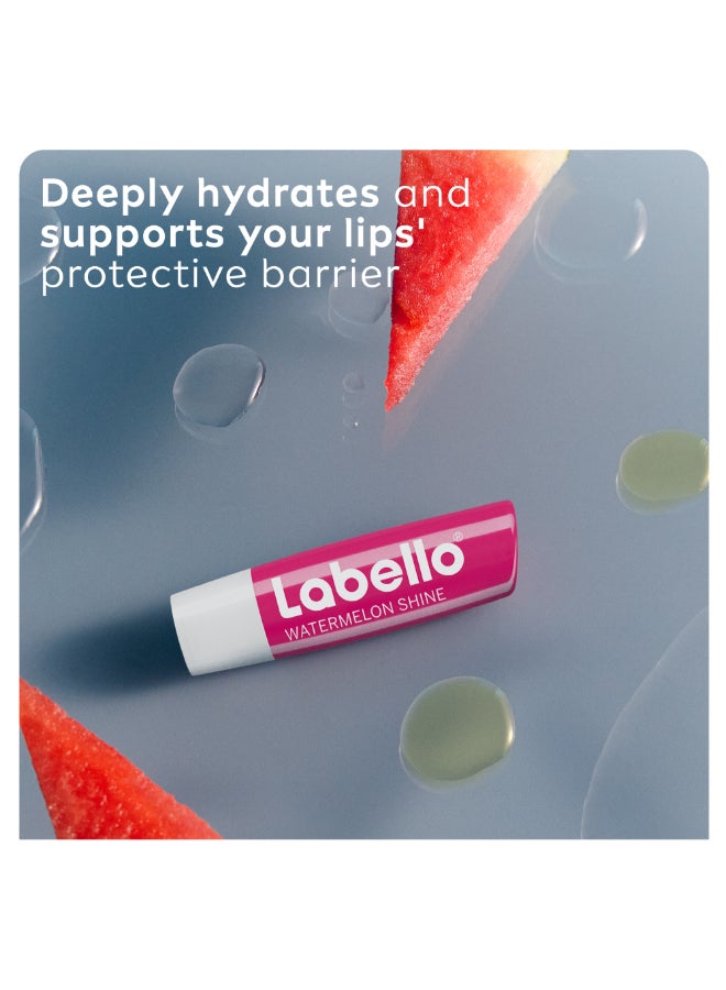Labello - Fruity Watermelon Shine 4.8grams - Image 1