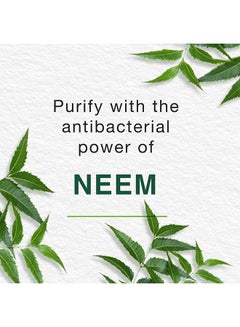 Himalaya Herbals Purifying Neem Mask with Turmeric, Normal to Oily Skin, 150ml  - Image 2