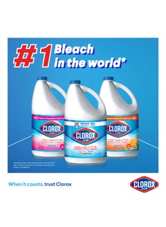 Liquid Bleach Original Household Cleaner And Disinfectant White 3.78Liters - pnsku/N11376565A/45/_/1720180746/d3295879-87f8-4b49-b9b4-7ab337de48ee