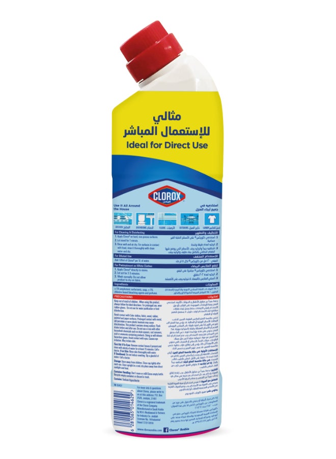 Clorox Floral Magic Clorox Plus Cleaner Gel 750ml  - Image 2