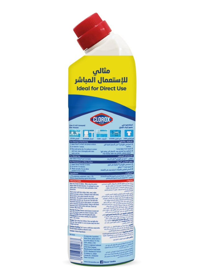 Clorox Gel Mint Freshness Thick Bleach Plus Cleaner 750ml  - Image 2