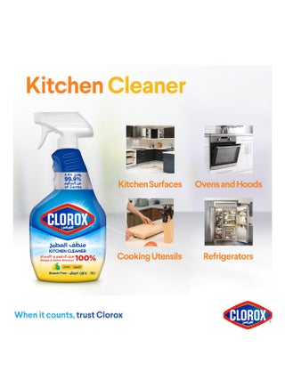 Kitchen Spray Cleaner Lemon 750ml - view 3