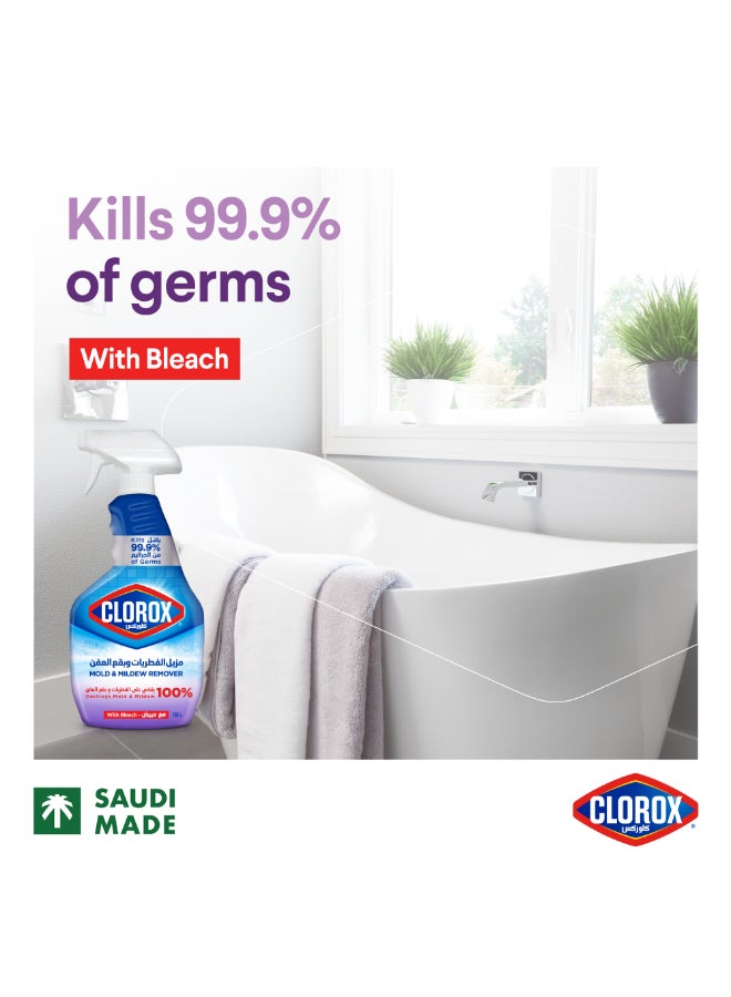 Clorox - Mold & Mildew Remover 750ml - Image 1