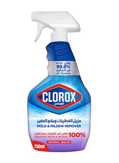 Mold & Mildew Remover 750ml