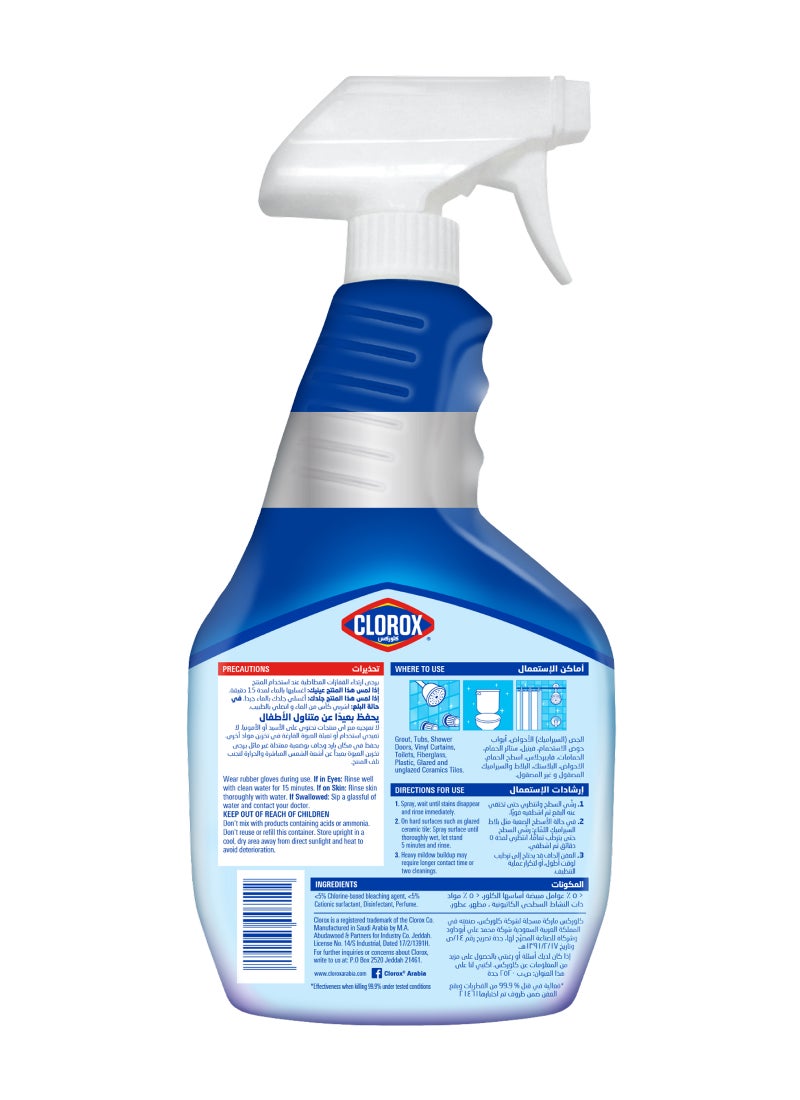 Clorox - Mold & Mildew Remover 750ml - Image 1