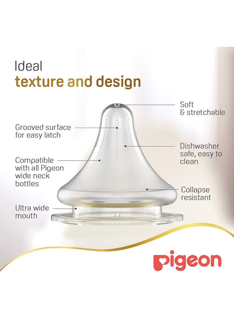 pigeon - Pack Of 1 Softouch Peristaltic Plus Baby Feeding Bottle 240 ML, 3 Months +, Assorted - Image 1