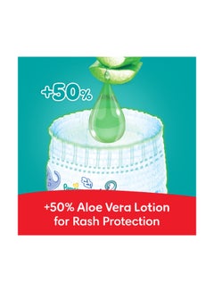 Baby-Dry Pants with Aloe Vera Lotion, 360 Fit , Size 5, 12-18kg, Carry Pack, 22 Count - pnsku/N11583829A/45/_/1731011954/11a7ace4-5498-4864-a410-565fae8ef323