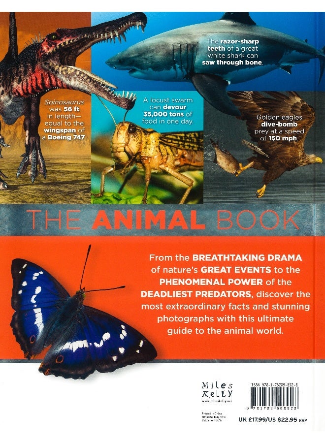 The Animal Book - Flexi Bound English by Miles Kelly - 11/1/2015 - Image 2