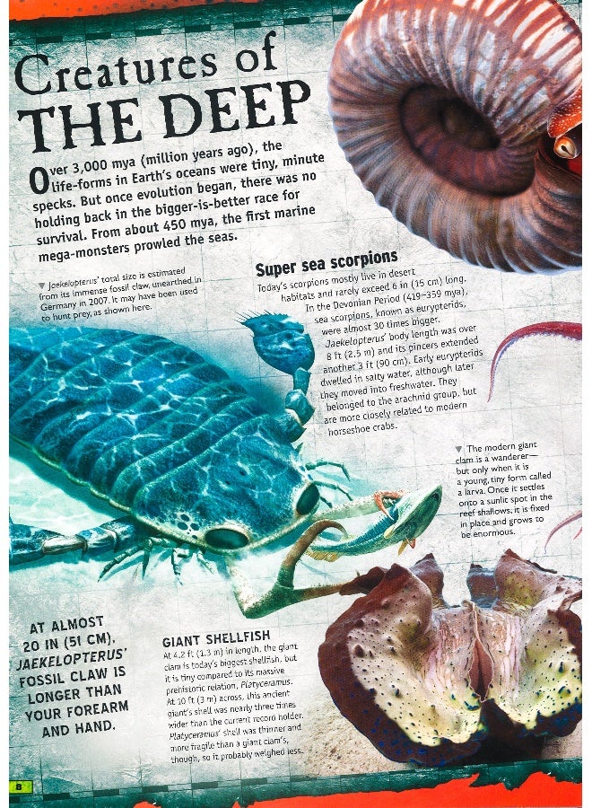 The Animal Book - Flexi Bound English by Miles Kelly - 11/1/2015 - Image 4