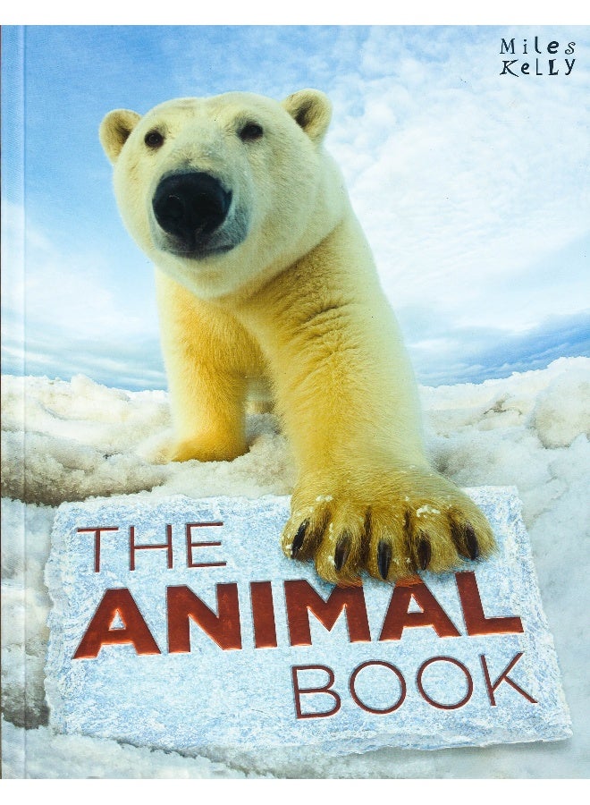 The Animal Book - Flexi Bound English by Miles Kelly - 11/1/2015 - Image 1