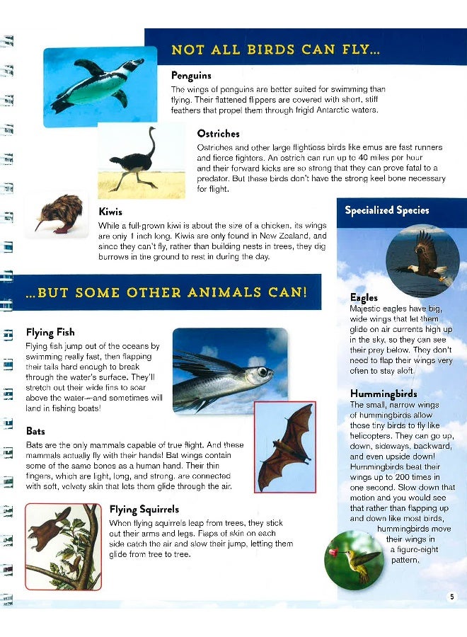 Smithsonian Discover - Flight - Spiral Bound English by Ruth T Brown - 8/28/2014 - Image 4