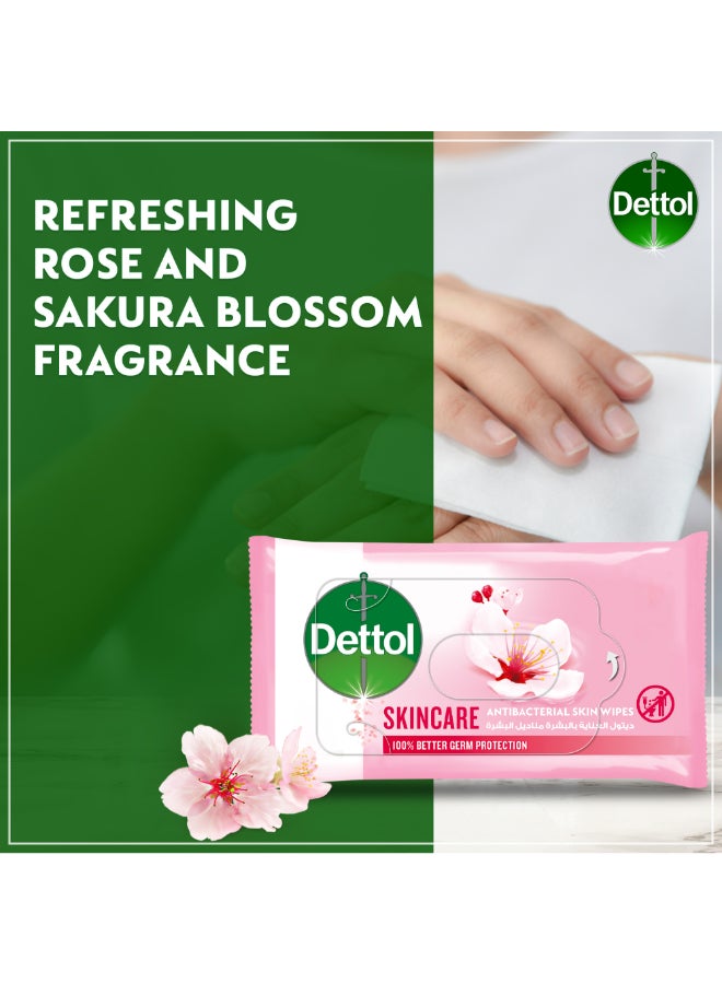 Dettol - Skincare Antibacterial Skin Wipes 5x10 Piece - Image 1